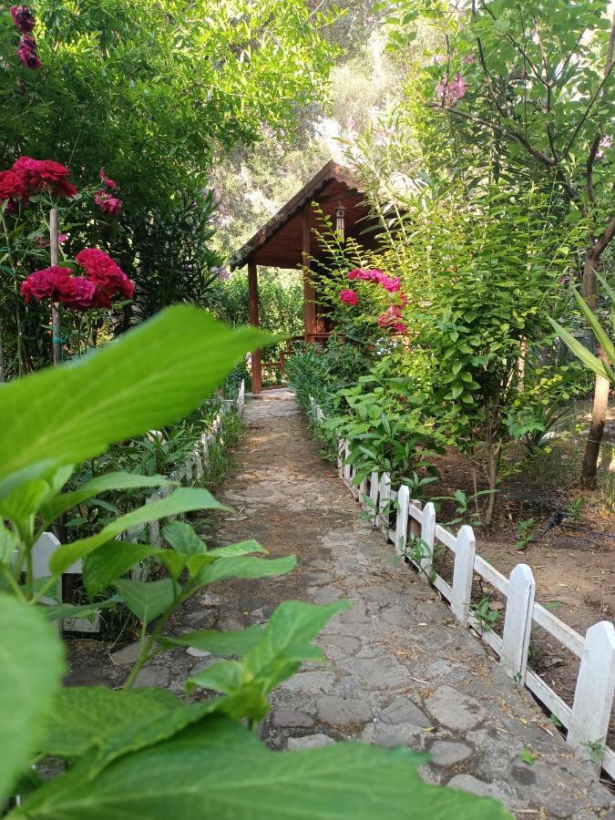 Canario Bungalows Cirali Exterior photo